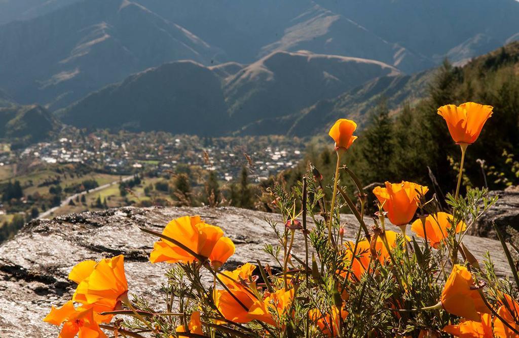 Creagh Cottage And Homestead Arrowtown Pokoj fotografie